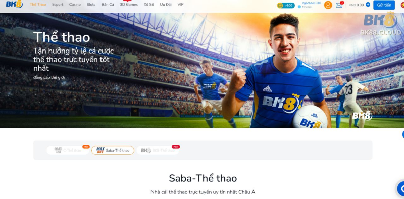 Chuyên mục cá cược bóng đá tại nhà cái BK8