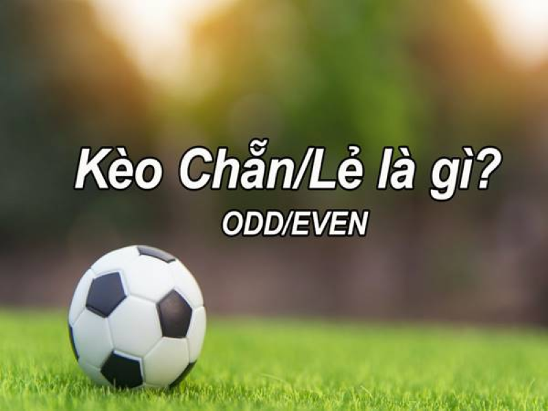 Kèo chẵn lẻ - Tỷ lệ kèo phụ được nhiều người lựa chọn