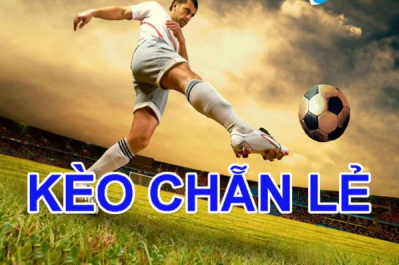 Kinh nghiệm soi kèo chẵn lẻ chuẩn xác