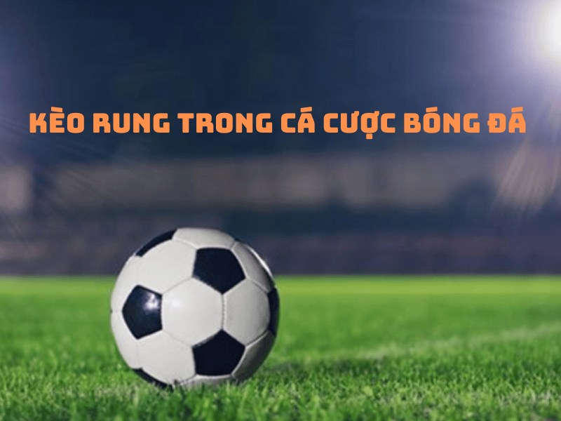 Những kinh nghiệm chơi kèo rung hiệu quả